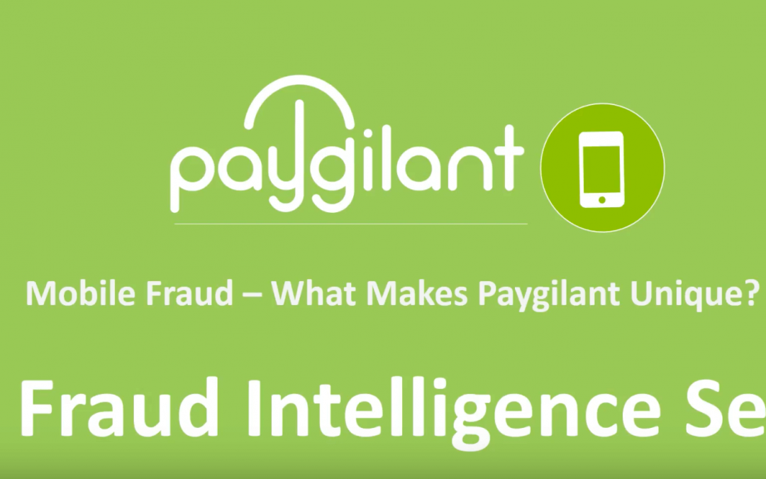What Makes Paygilant Unique 6 Intelligence Sets